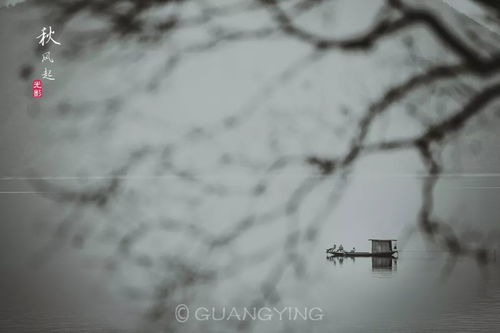 光影俱樂部創作班 在文學與藝術的交匯處探索文藝創作