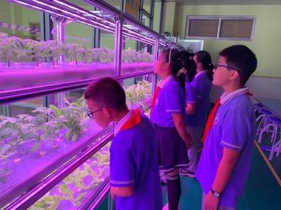 威海這所小學(xué)里藏著個(gè)植物工廠 當(dāng)一粒種子，成為一座實(shí)踐教育的橋梁