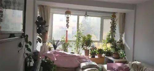 樂都本地房屋出租信息更新（1月27日） | 精品房源別錯過，高性價比住房租賃盤點